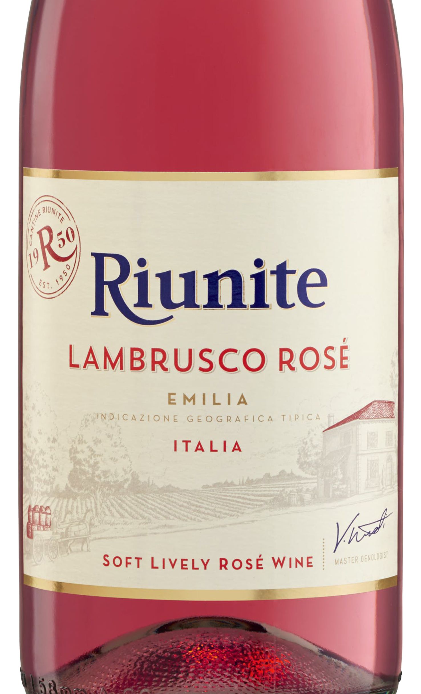 Этикетка Игристое вино Риуните Ламбруско, розовое полусладкое, 0.75 л